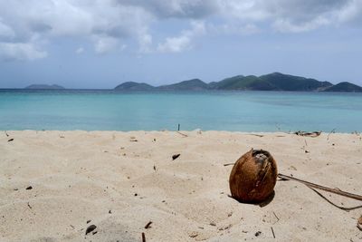 Close-up of sand on beach against sky