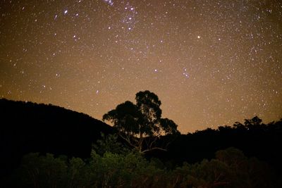 Silhouette trees against sky at night
