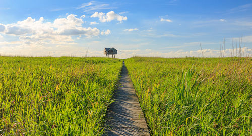 Scenic view of field against sky