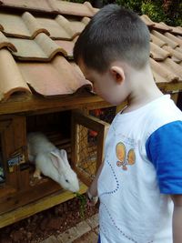 Boy feeding rabbit in hutch