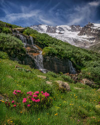 Scenic view of grassy field against cloudy sky