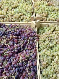 Fruits for sale at market stall