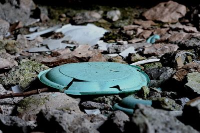 High angle view of crab on rock