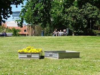 Benches on grassy field in park