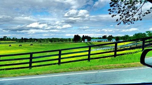 Empty road on grassy field against cloudy sky