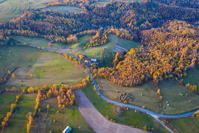 Aerial view of forest during autumn