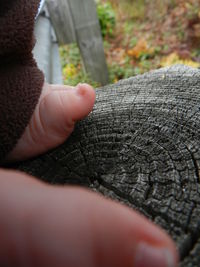 Close up of human hand on tree trunk
