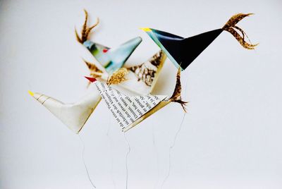 Close-up of paper against white background