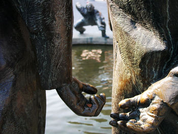Close-up of elephant on water