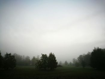 Trees on field against sky during foggy weather