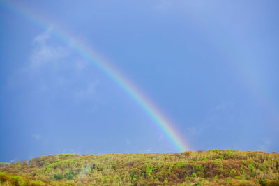 rainbow