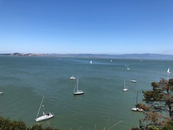 High angle view of sailboats in sea against clear sky