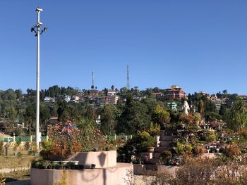 Trees and buildings against clear blue sky