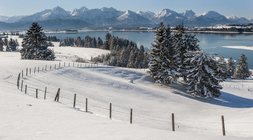 Scenic view of snow covered mountains