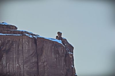 Low angle view of bird perching against clear sky