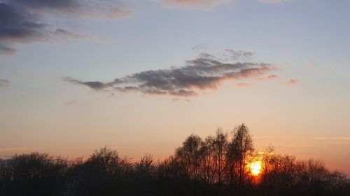 Low angle view of silhouette trees against sky during sunset