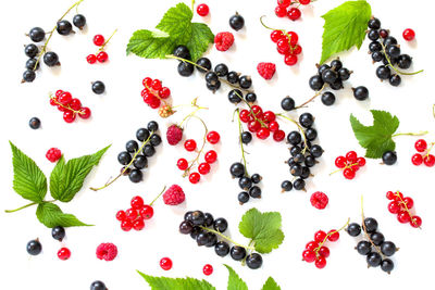 High angle view of fruits