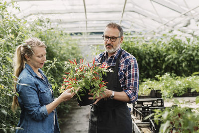 Smiling young woman standing in greenhouse