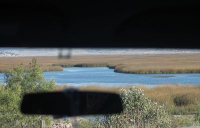 View of trees on shore