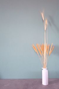 Close-up of flower vase on table against wall