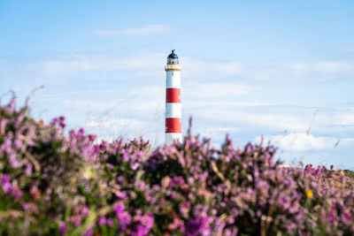 Lighthouse amidst plants against sky