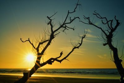 Scenic view of sunset over sea