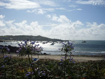 Scenic view of sea against sky