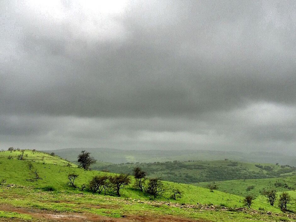 farm, agriculture, field, rural scene, nature, storm cloud, cloud - sky, landscape, growth, storm, no people, scenics, outdoors, sky, beauty in nature, thunderstorm, day