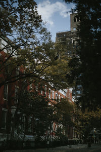 Low angle view of trees and buildings in city