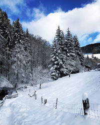 Snow covered trees against sky