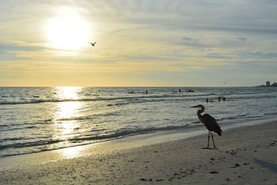 Scenic view of sea at sunset