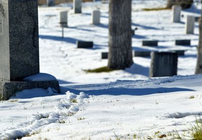 Cemetery trail in the snow