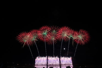 Firework display at night