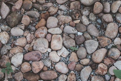 Stones arranged on the ground for the background