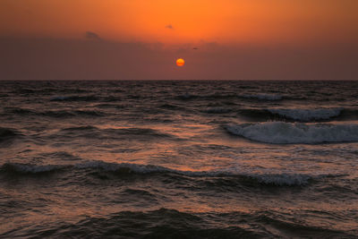 Scenic view of sea during sunset