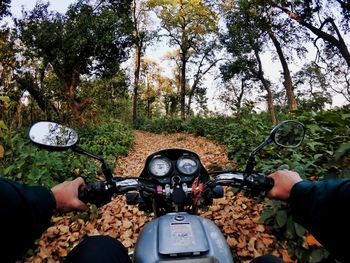 Midsection of person riding motorcycle on plants