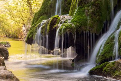Scenic view of waterfall in forest