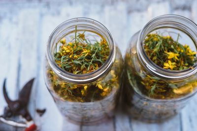 High angle view of plants in glass jar on table