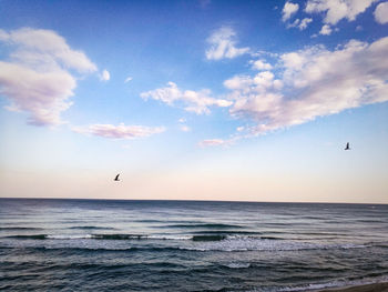 Bird flying over sea against sky