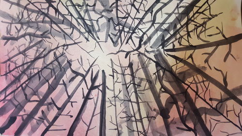 Full frame shot of bare tree