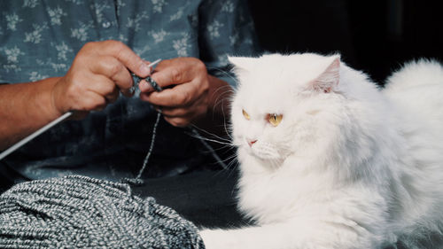 Midsection of woman knitting by cat