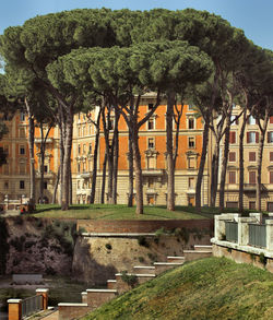 Building with trees in background