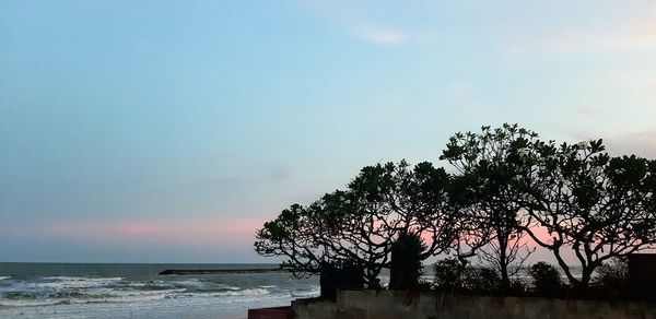 Tree by sea against sky during sunset