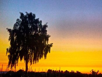 Silhouette palm trees at sunset