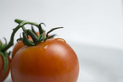 Close-up of cherry tomato against white background