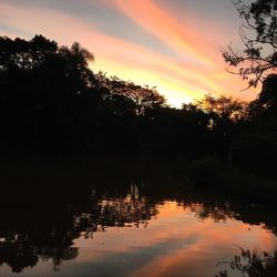 Reflection of trees in water against sky