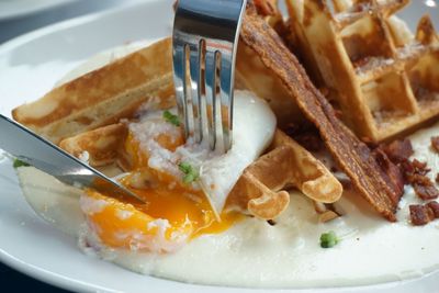 Close-up of served food