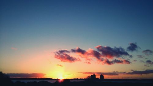 Silhouette of trees at sunset