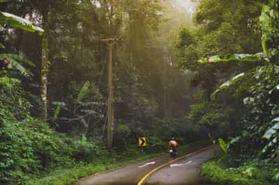 Rear view of man riding motorcycle on road in forest