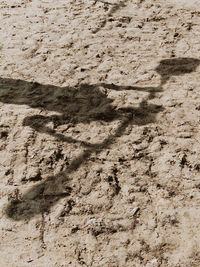 High angle view of footprints on sand